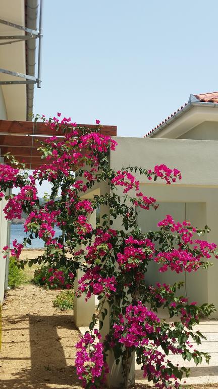 Thea Houses Milina Exterior foto